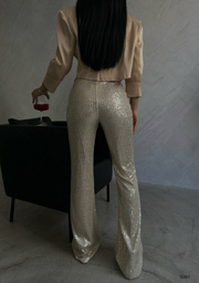 High waisted sequin pants